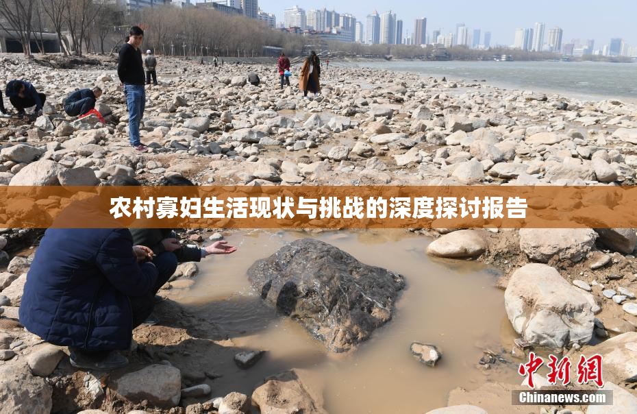 农村寡妇生活现状与挑战的深度探讨报告