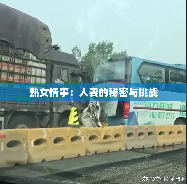 熟女情事：人妻的秘密与挑战