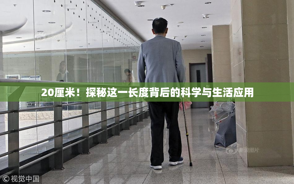 20厘米！探秘这一长度背后的科学与生活应用