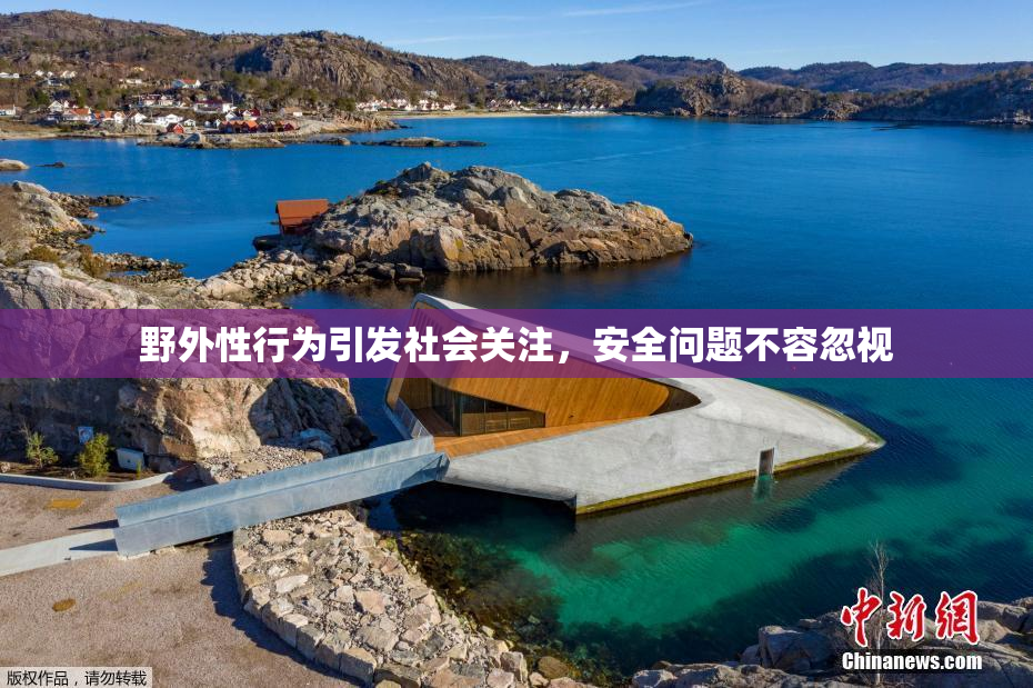 野外性行为引发社会关注，安全问题不容忽视