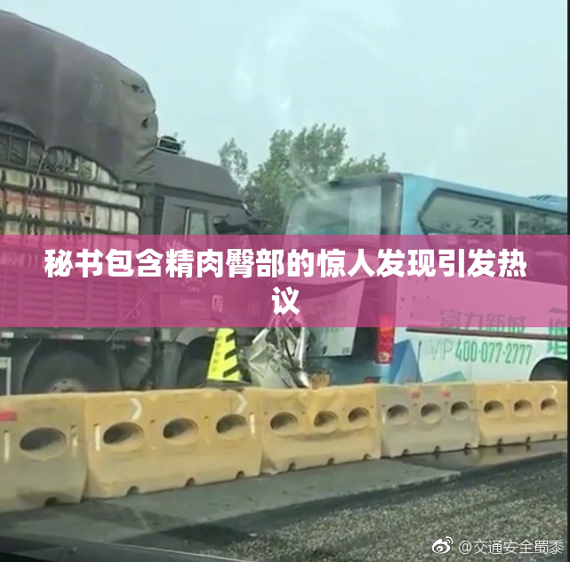 秘书包含精肉臀部的惊人发现引发热议