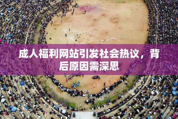 成人福利网站引发社会热议，背后原因需深思