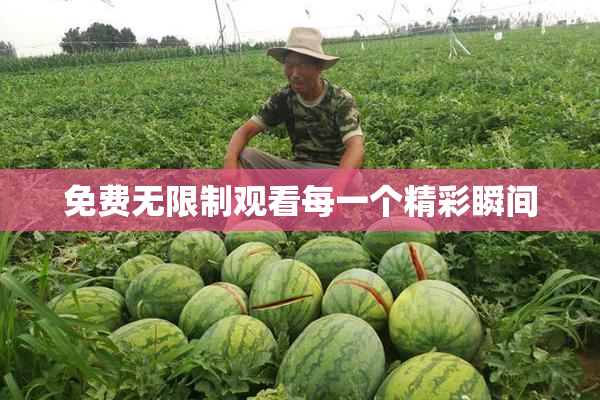 免费无限制观看每一个精彩瞬间