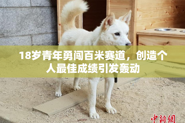 18岁青年勇闯百米赛道，创造个人最佳成绩引发轰动