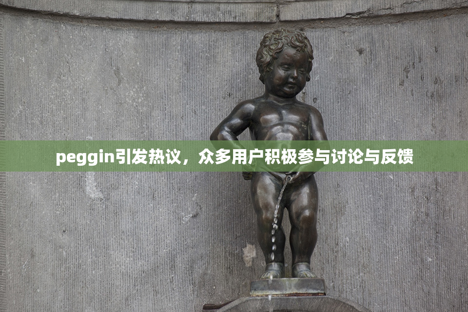 peggin引发热议，众多用户积极参与讨论与反馈