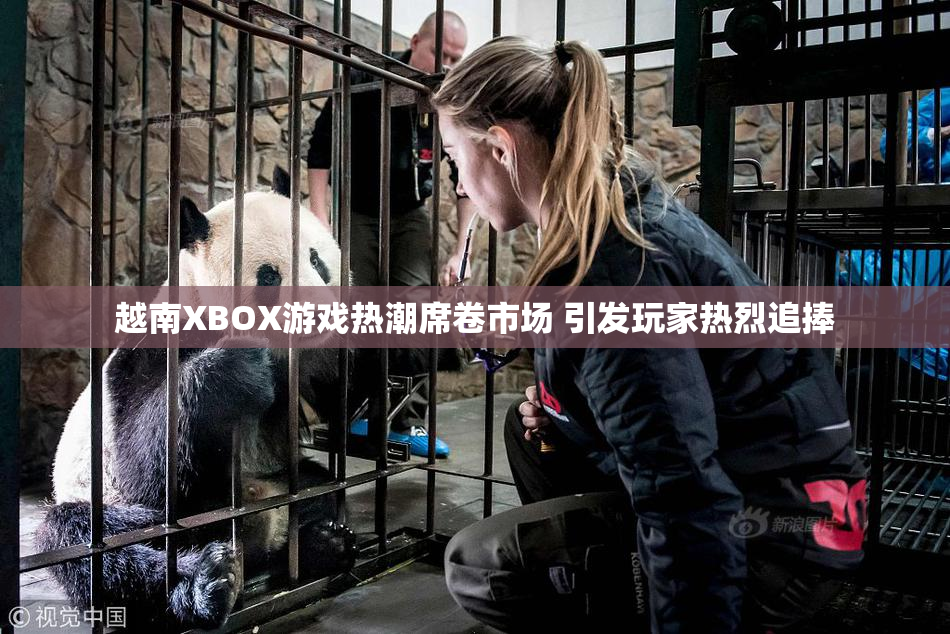 越南XBOX游戏热潮席卷市场 引发玩家热烈追捧