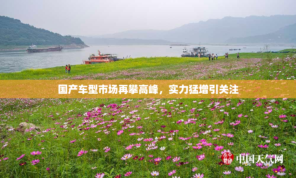 国产车型市场再攀高峰，实力猛增引关注