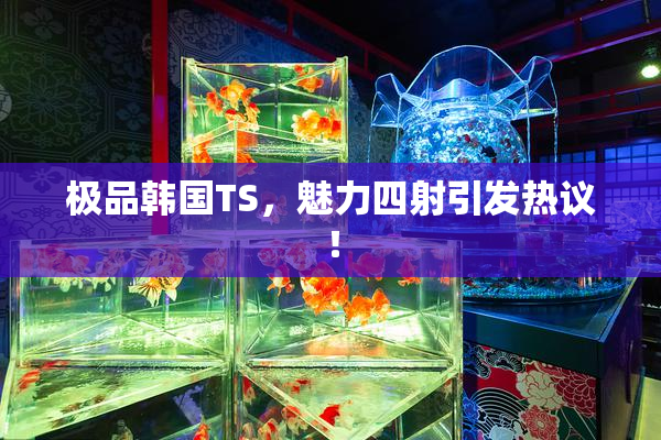极品韩国TS，魅力四射引发热议！