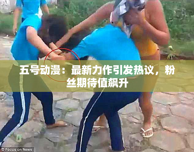 五号动漫：最新力作引发热议，粉丝期待值飙升
