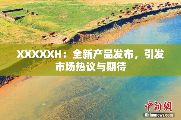 XXXXXH：全新产品发布，引发市场热议与期待