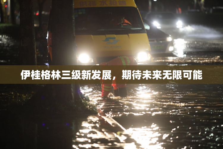 伊桂格林三级新发展，期待未来无限可能