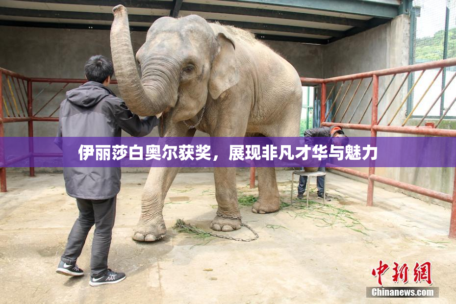 伊丽莎白奥尔获奖，展现非凡才华与魅力