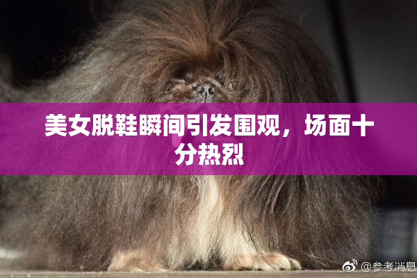 美女脱鞋瞬间引发围观，场面十分热烈