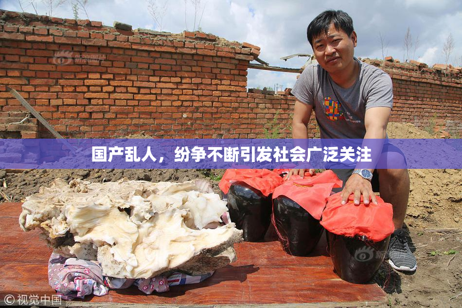 国产乱人，纷争不断引发社会广泛关注