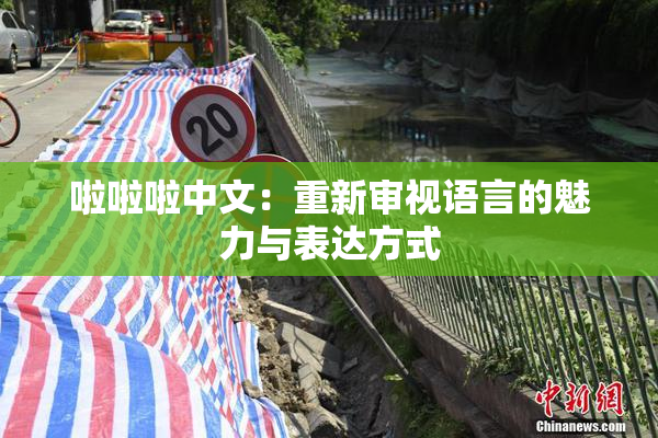啦啦啦中文：重新审视语言的魅力与表达方式