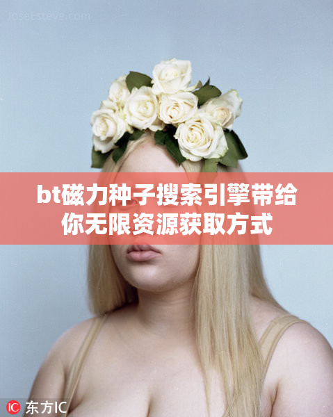 bt磁力种子搜索引擎带给你无限资源获取方式