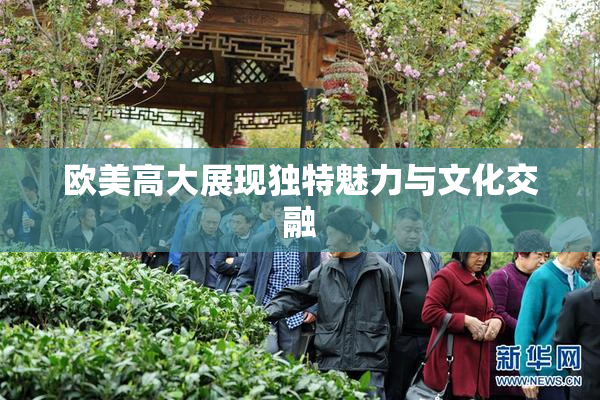 欧美高大展现独特魅力与文化交融
