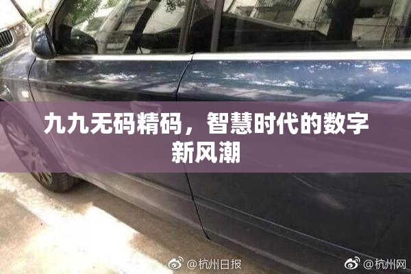 九九无码精码，智慧时代的数字新风潮