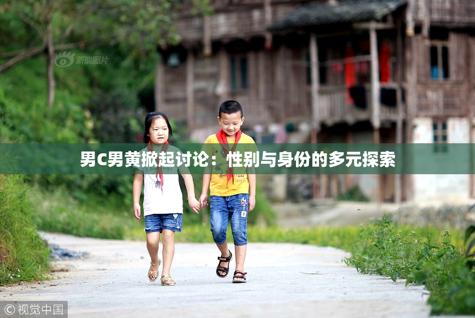 男C男黄掀起讨论：性别与身份的多元探索