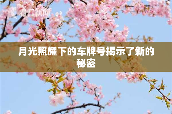 月光照耀下的车牌号揭示了新的秘密
