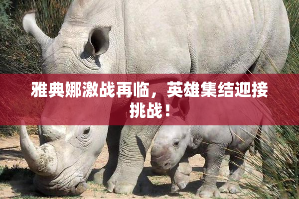 雅典娜激战再临，英雄集结迎接挑战！