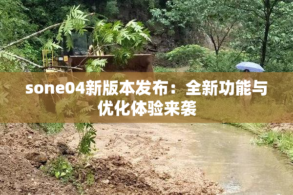 sone04新版本发布：全新功能与优化体验来袭
