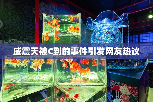 威震天被C到的事件引发网友热议