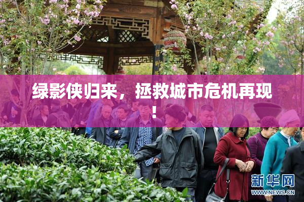 绿影侠归来，拯救城市危机再现！