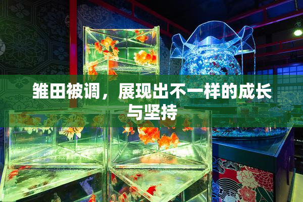 雏田被调，展现出不一样的成长与坚持