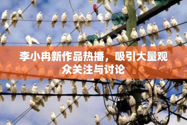 李小冉新作品热播，吸引大量观众关注与讨论