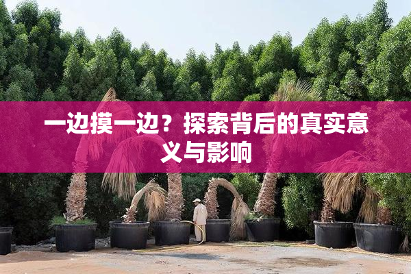 一边摸一边？探索背后的真实意义与影响
