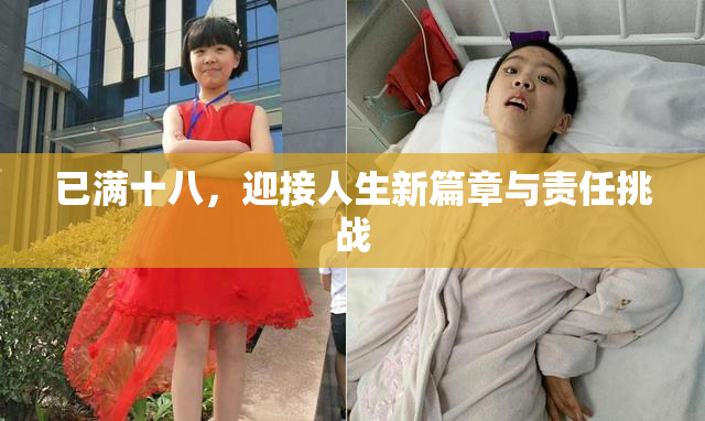 已满十八，迎接人生新篇章与责任挑战