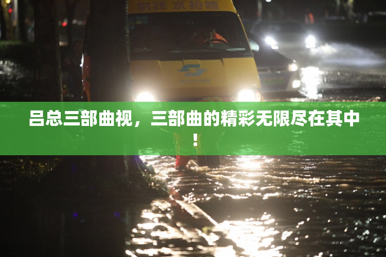 吕总三部曲视，三部曲的精彩无限尽在其中！