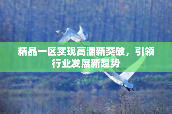 精品一区实现高潮新突破，引领行业发展新趋势