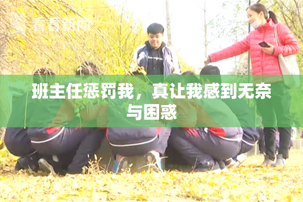 班主任惩罚我，真让我感到无奈与困惑