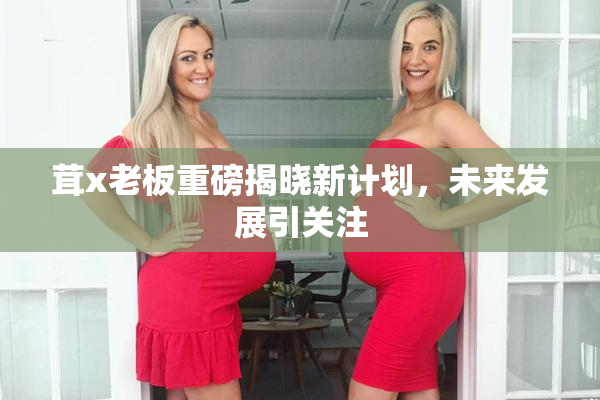 茸x老板重磅揭晓新计划，未来发展引关注