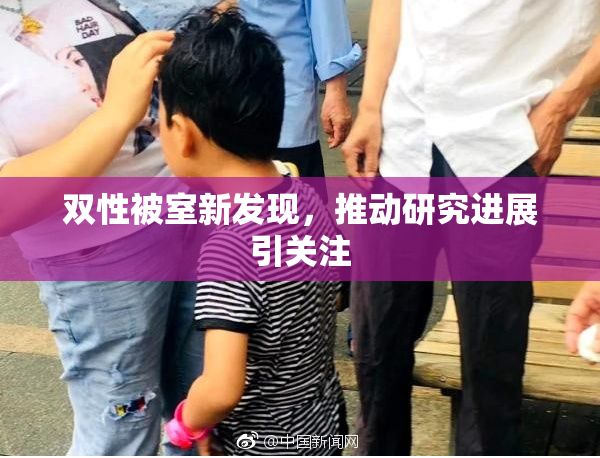双性被室新发现，推动研究进展引关注