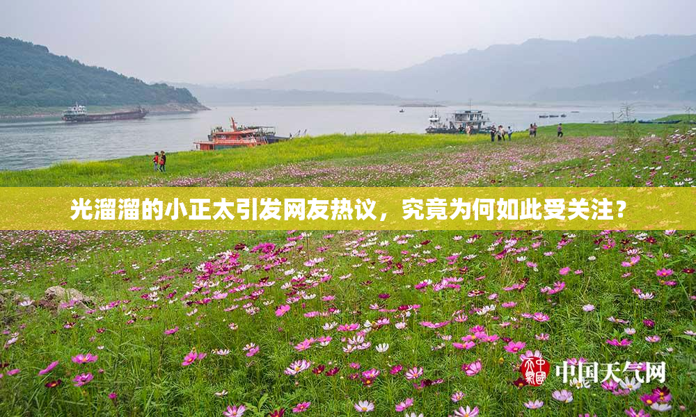 光溜溜的小正太引发网友热议，究竟为何如此受关注？