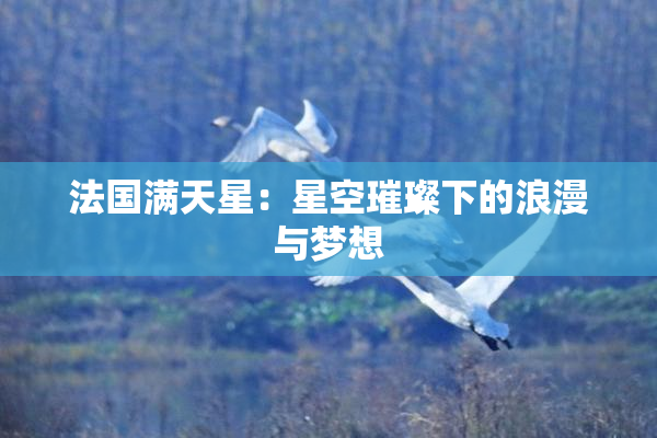 法国满天星：星空璀璨下的浪漫与梦想