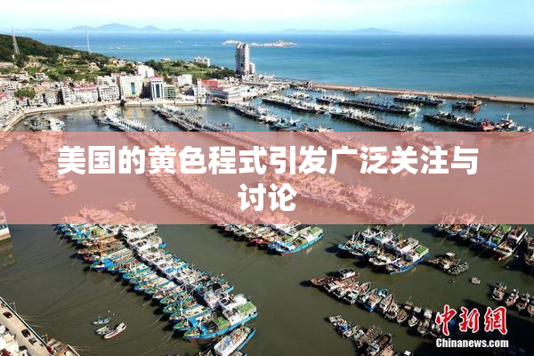 美国的黄色程式引发广泛关注与讨论