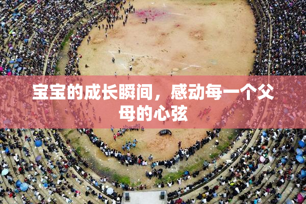 宝宝的成长瞬间，感动每一个父母的心弦