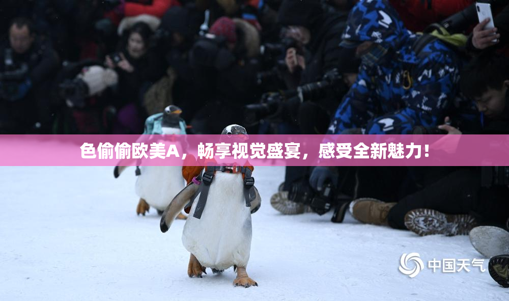 色偷偷欧美A，畅享视觉盛宴，感受全新魅力！