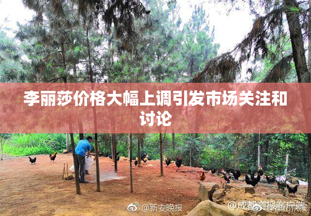李丽莎价格大幅上调引发市场关注和讨论