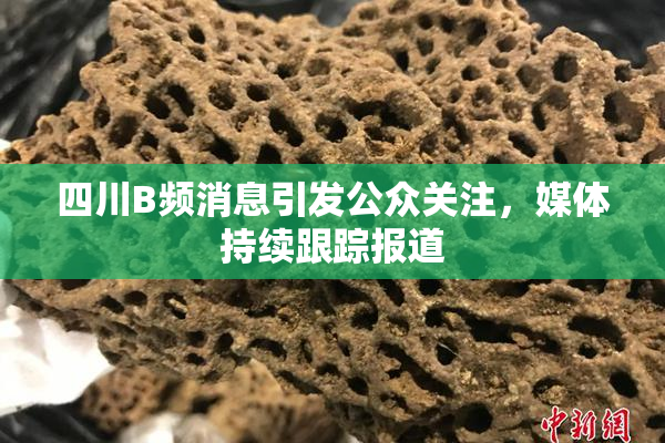 四川B频消息引发公众关注，媒体持续跟踪报道
