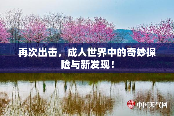 再次出击，成人世界中的奇妙探险与新发现！