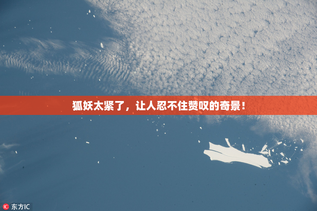 狐妖太紧了，让人忍不住赞叹的奇景！