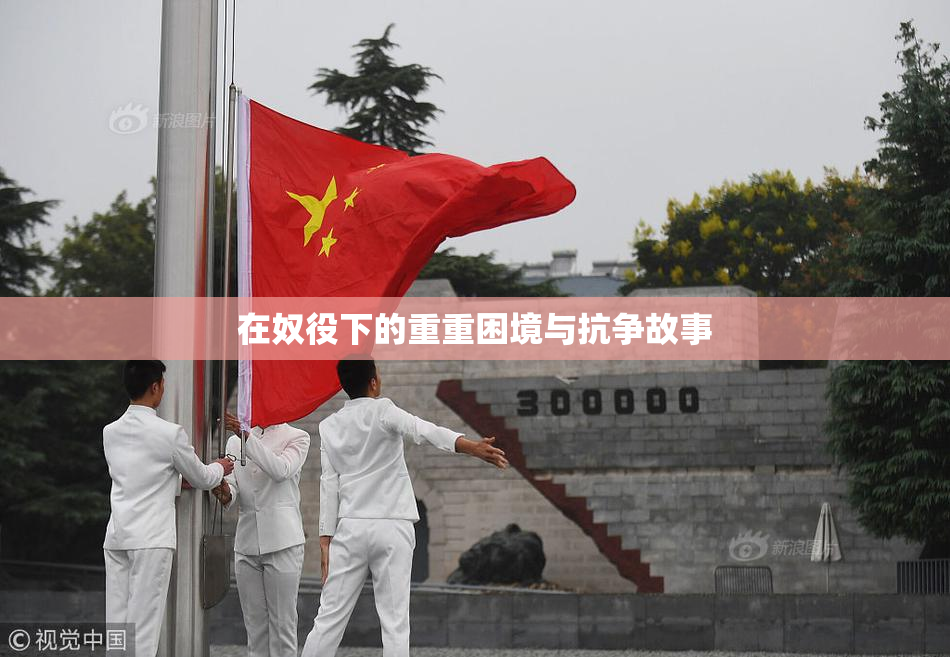 在奴役下的重重困境与抗争故事