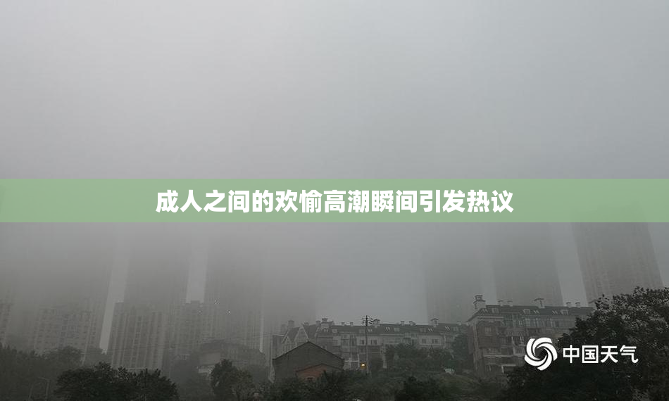成人之间的欢愉高潮瞬间引发热议
