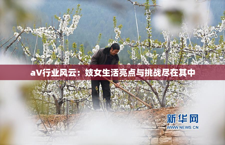 aV行业风云：妓女生活亮点与挑战尽在其中