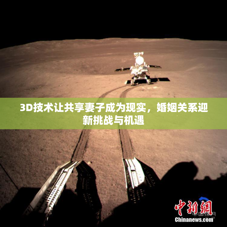 3D技术让共享妻子成为现实，婚姻关系迎新挑战与机遇